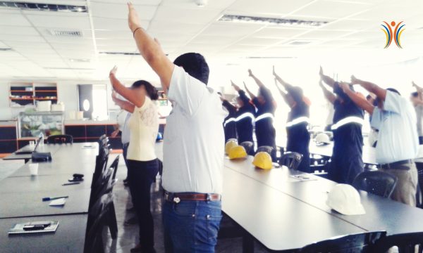 Prevencion de Riesgos Disergonomico con pausas activas del programa de gimnasia laboral con tracto camiones innova accion